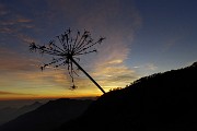88 Colori del tramonto